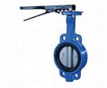 Wafer Type Central line Butterfly valve 1