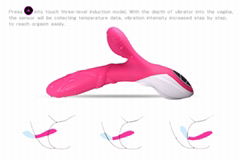 Rabbit vibrating massager