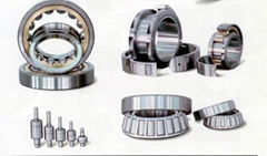 Cylindrical Roller Bearing