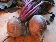 Fresh Beetroots