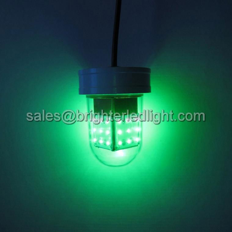 12V Deep Drop Underwater Green Glowing LED Fishing Light Dock Lamp Gigging Bait 5