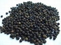 VIETNAM BLACK PEPPER 1