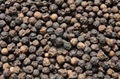 VIETNAM BLACK PEPPER 5