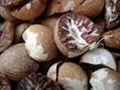 Betel Nuts 5