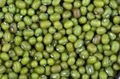 High qualtiy Green Mung Bean 1