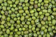 High qualtiy Green Mung Bean