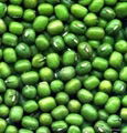 High qualtiy Green Mung Bean 5