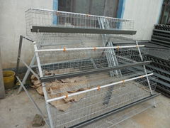 Poultry Chicken Laying Cage 