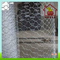 Hexagonal Wire Neting Galvanized 1