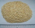 dehydrated garlic granule