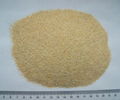 dehydrated garlic granule 2