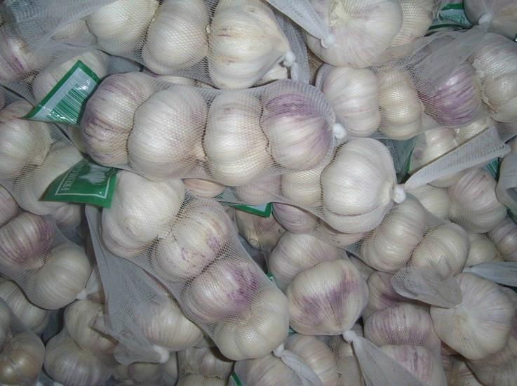 2013 new fresh garlic 4