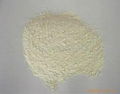 dehydrated onion powder 2