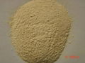 dehydrated onion powder 3