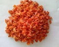 New Carrot Granule