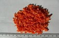 New Carrot Granule 3