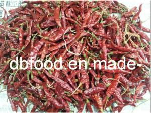 dried red chili 2