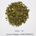 dehydrated green pepper 3