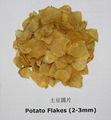 2013 high quality dehydrated potato granule 1
