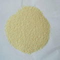 2013 dehydrated garlic granule 2