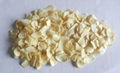 dehydrated garlic flakes 1