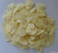 dehydrated garlic flakes 3