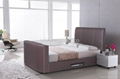 Modern Designs Leather Bed Designs TV