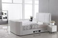 Modern Designs Leather Bed Designs TV