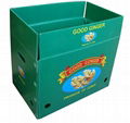 Folding Corrugated Plastic Box 2