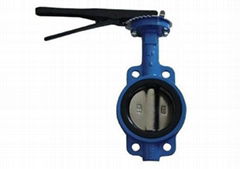 Wafer type Butterfly Valve