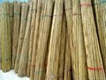Bamboo poles 2