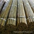 Bamboo poles 5