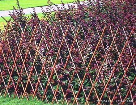 decorative garden fence 4