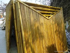 Bamboo fence cheap and high quality