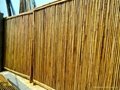 Bamboo fence cheap and high quality 4