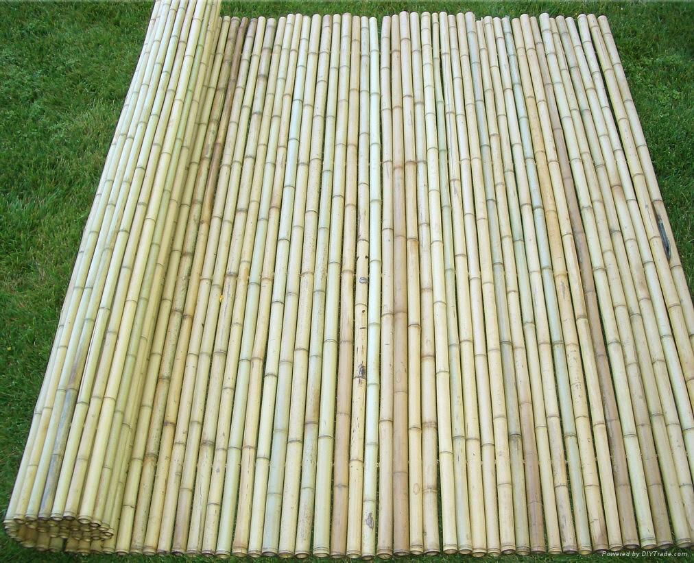 bamboo panel 2