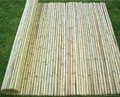 bamboo panel 2