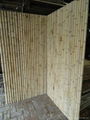 bamboo panel 4