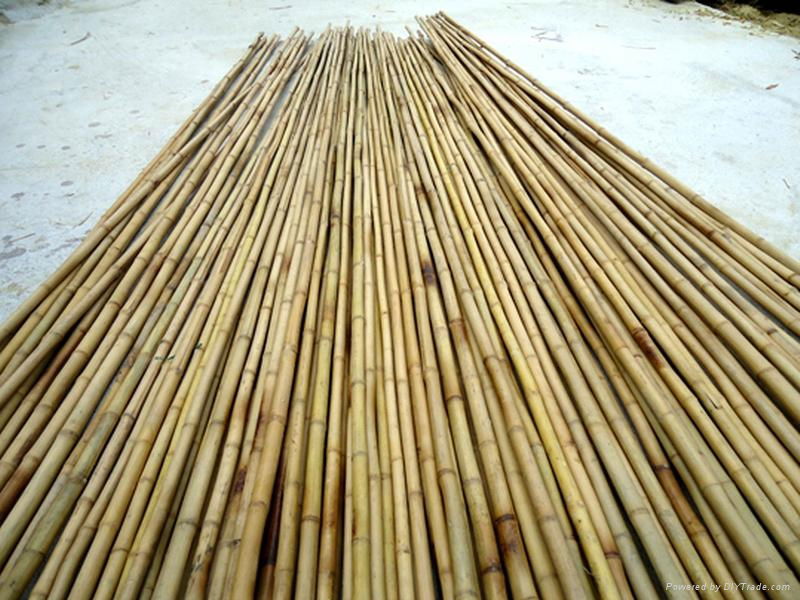 Bamboo poles 2