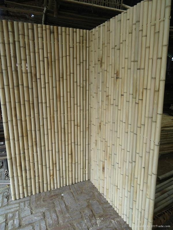 Bamboo low price and high quality 2