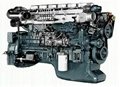 Diesel Engine WD615.95