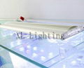 2013 new style 50w/60cm led aquarium light for marine life