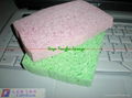 Cellular clean sponge 1