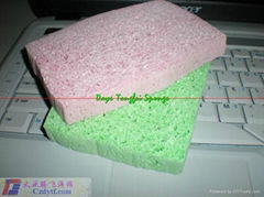 Cellular clean sponge