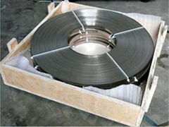 Titanium Conductor Ribbon