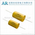 Matallized Polypropylene film capacitor Axial type 2