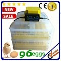 Newest Mini Egg Making Machine Automatic Eggs Hatching Machine 1