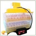 CE Approve EW-96B Small Automatic Transparent Chicken Egg Incubator For Hatching 3