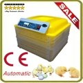 CE Approve EW-96B Small Automatic Transparent Chicken Egg Incubator For Hatching 4