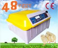 CE Certificate Newly Energy-saving Small Automatic Egg Incubators For Chicken Eg